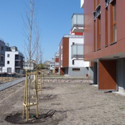 Zen Garden Mokotów Budowa